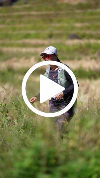 BIB:  <button type="button" onclick="openModal(26787490)" class="btn btn-primary btn-sm float-right" data-toggle="modal" data-target=".modal-high-quality">
                <i class="fa fa-download"></i> Download
                </button>